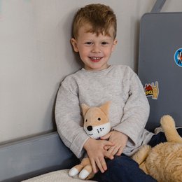 Freely playable music box Peter the fox - gift set