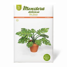 Monstera délicieux mini kit d’artisanat de jardin