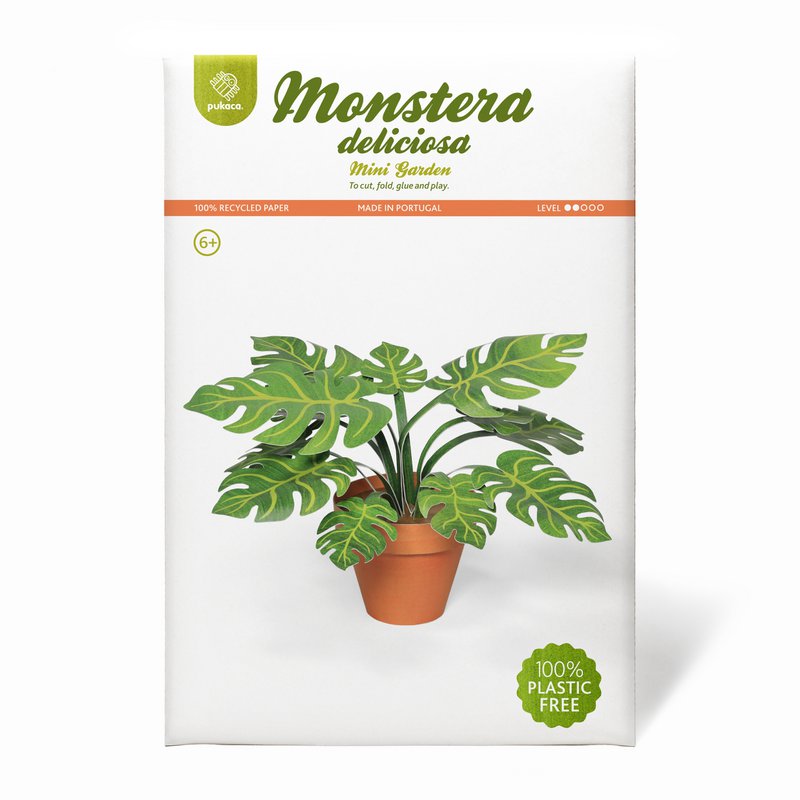 Monstera délicieux mini kit d’artisanat de jardin