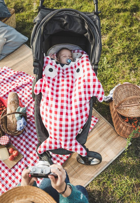 ED SÆK. BEGRÆNSET RØD PICNIC AW25
