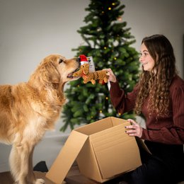 Santa Sausage – de kerstteckel