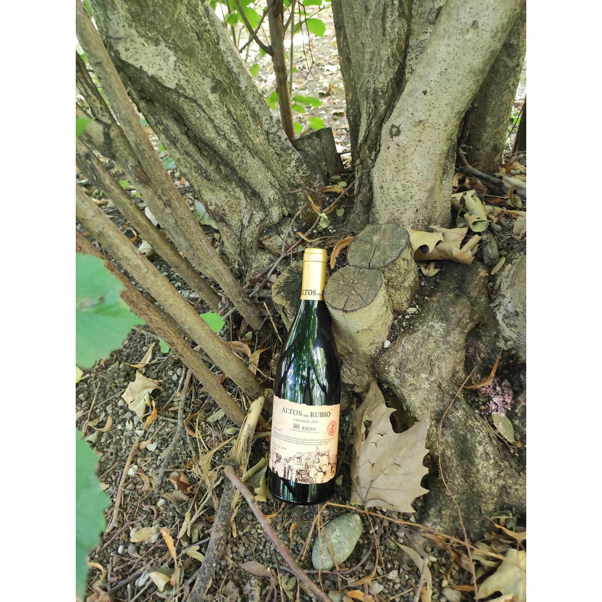 Crianza rødvin D.O.Ca. Rioja Altos del Rubio