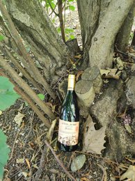 Vin rouge Crianza D.O.Ca. Rioja Altos du Rubio