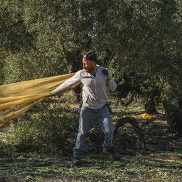 biografía de oro bullen-pickle