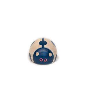 Rolling ladybird