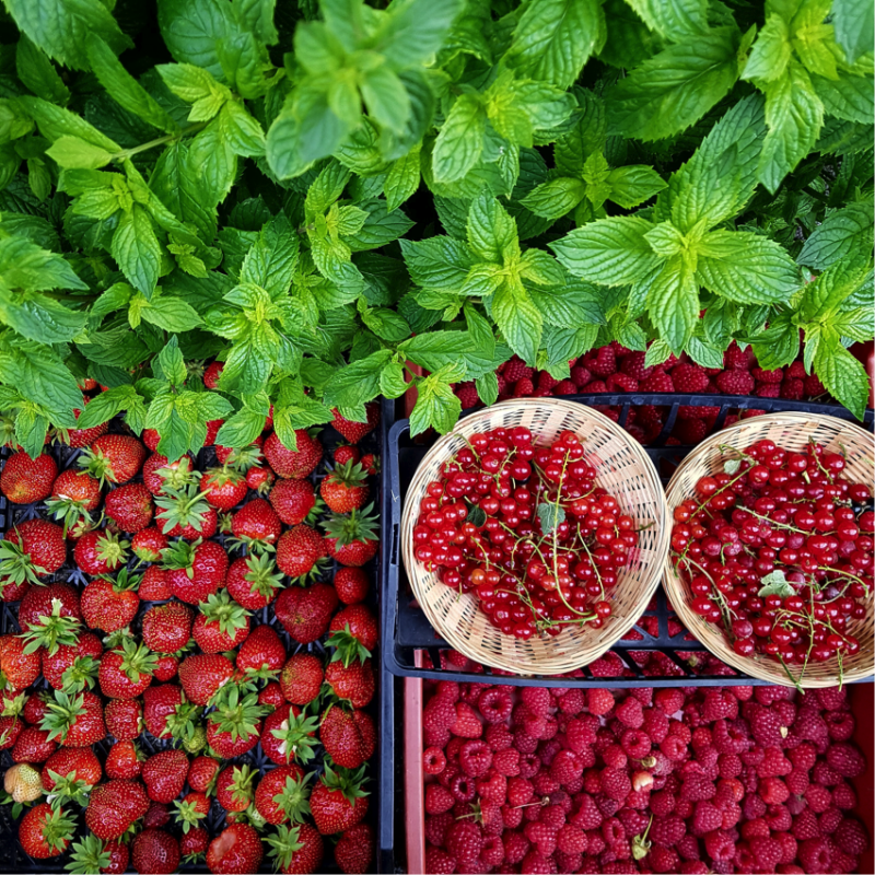 Dolci - Fragola