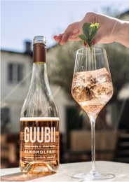 Aperitivo frizzante analcolico - 0,75l | GUUBII sambuco/limone