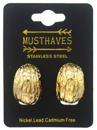 D-A17.2  E103-120G S. Steel Earrings 2.5cm