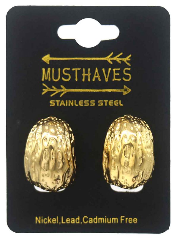 D-A17.2  E103-120G S. Steel Earrings 2.5cm