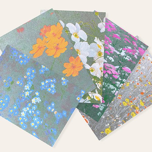 Risography postcard - flower meadow orange - DIN A6