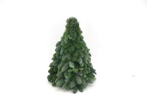 Christmas tree - Nobilis green - 30/40/50/60 cm