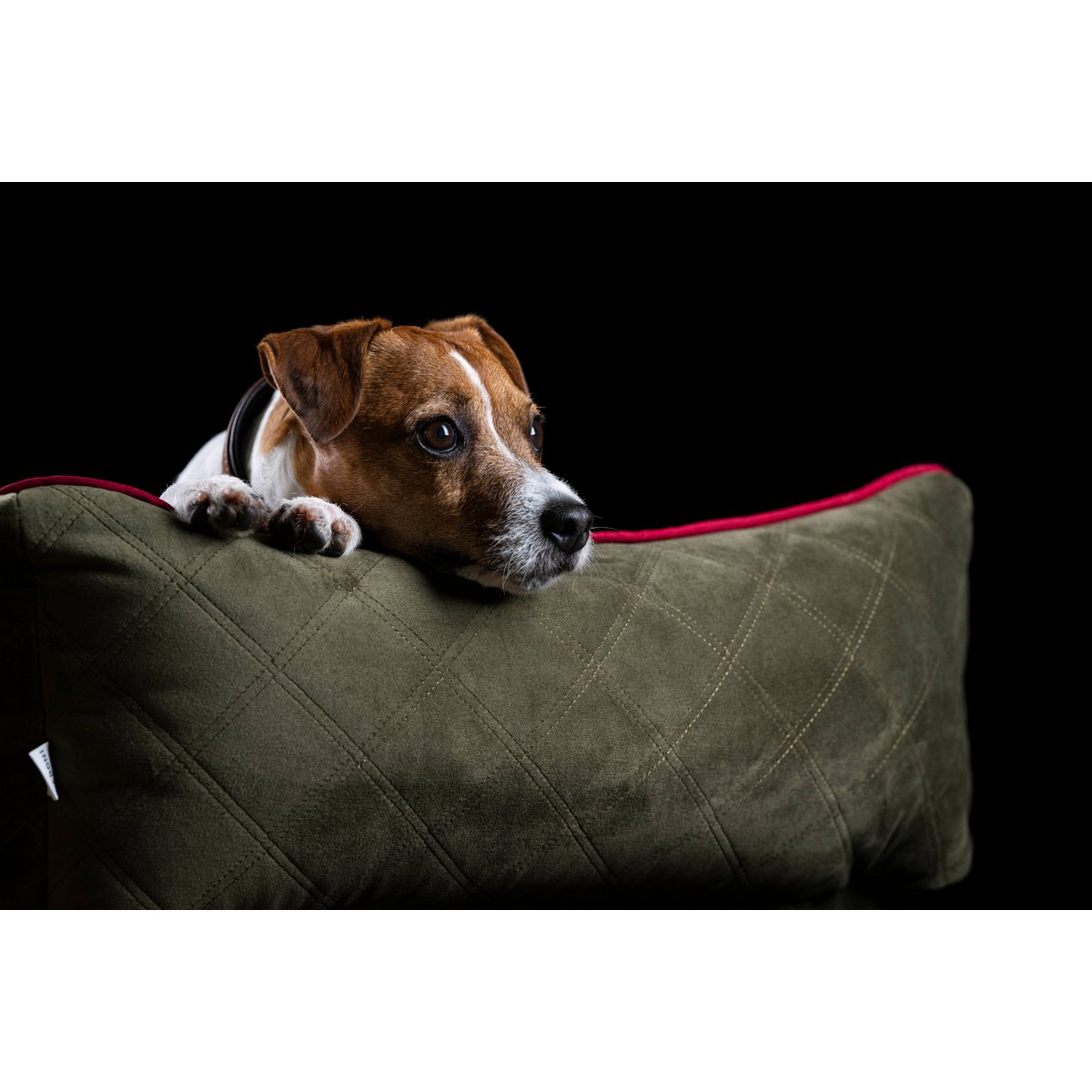 OXFORD I CLASSICO HUNDEBETT