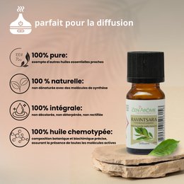 Huile Essentielle – Ravintsara - 10 ml – Utilisation pour la Diffusion – Conditionnée en France