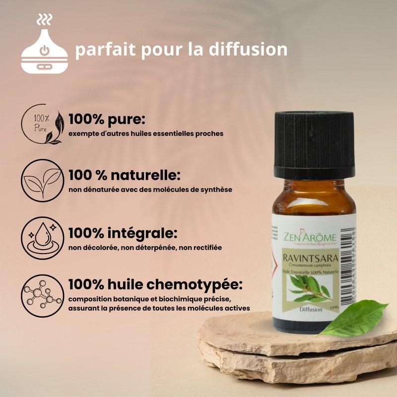 Huile Essentielle – Ravintsara - 10 ml – Utilisation pour la Diffusion – Conditionnée en France
