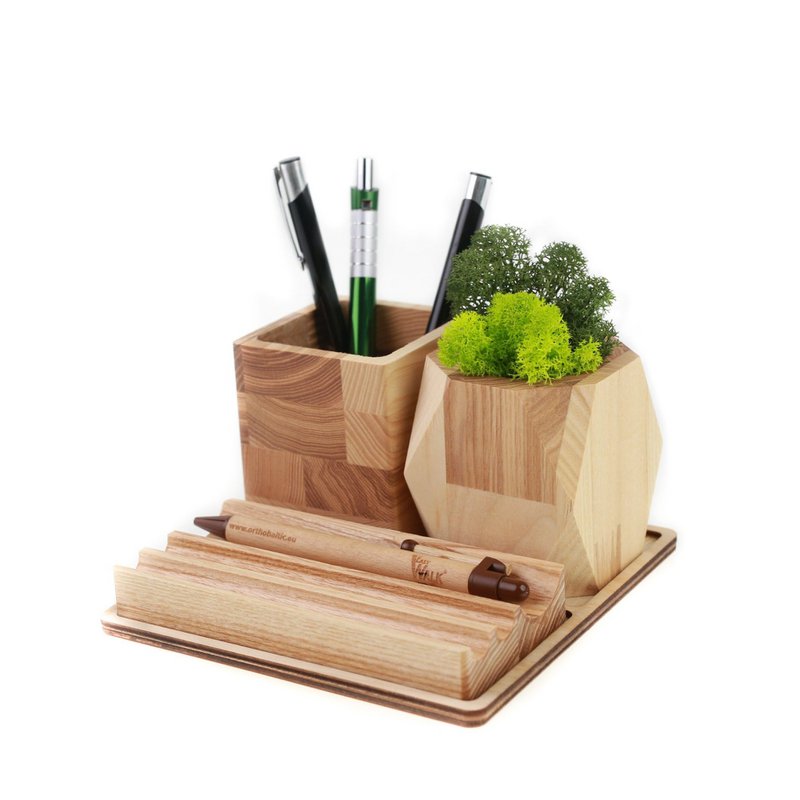 Wooden desk organizer with moss, Desk accessories with moss