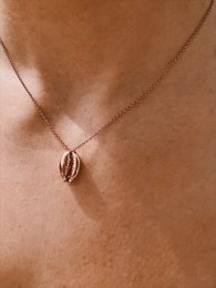 Cowrie Shell Necklace