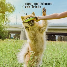 juguete para perros con pídico para perros NE & NO®