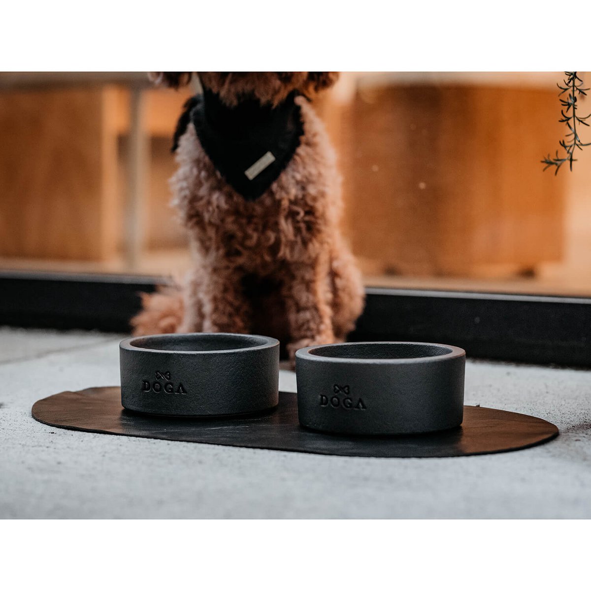 Pet Bowl Tischset DOGA Schwarz