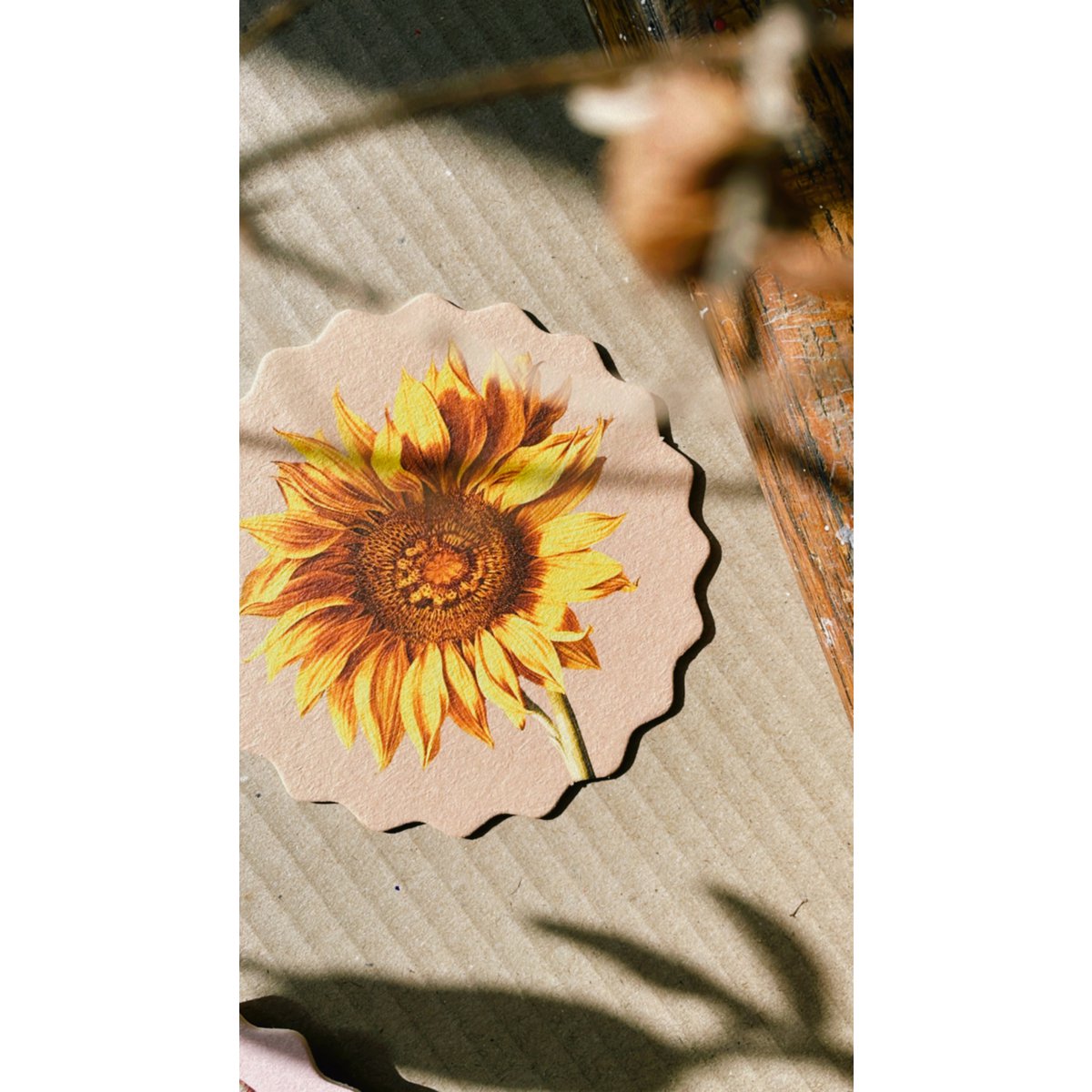 Sous-verres 10 motifs fleurs - 12 sets