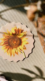 Coasters 10 motifs flowers - 12 sets