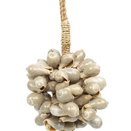 Die graue Muschelquaste