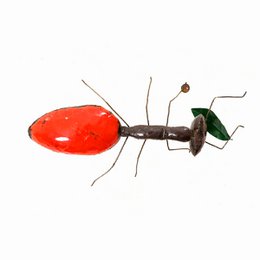 METAL LARGE RED ANT LV