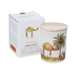 Save the Planet Scented Soy Wax Candle | Warming Desert