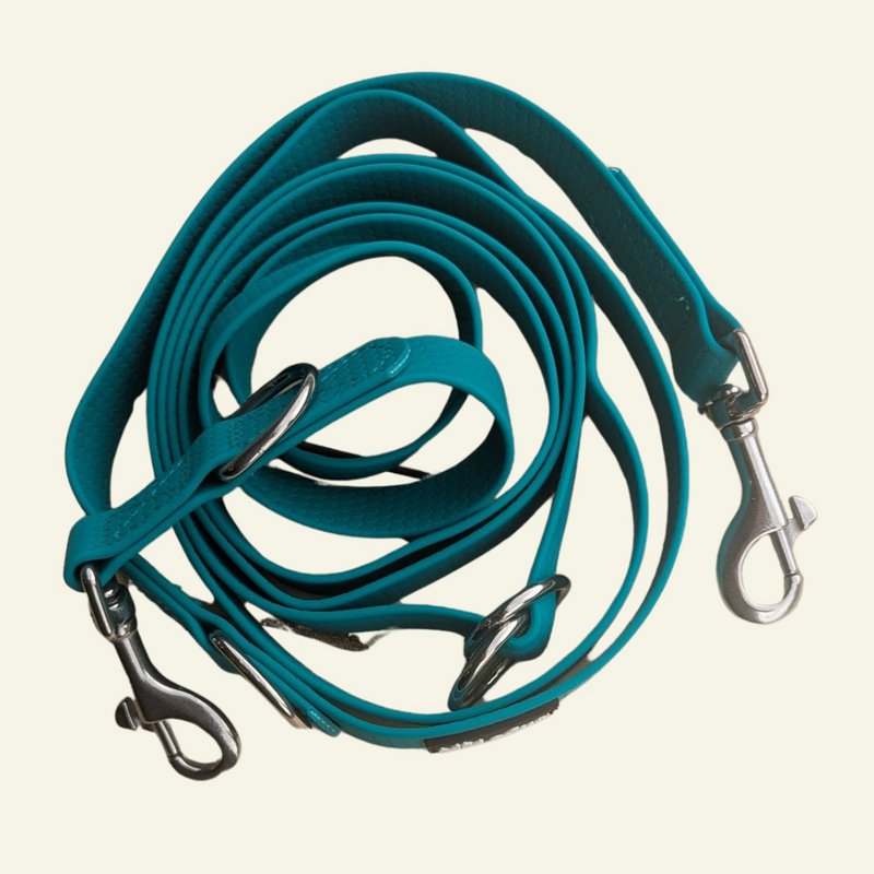 Waterproof multi-position leash Peacock blue