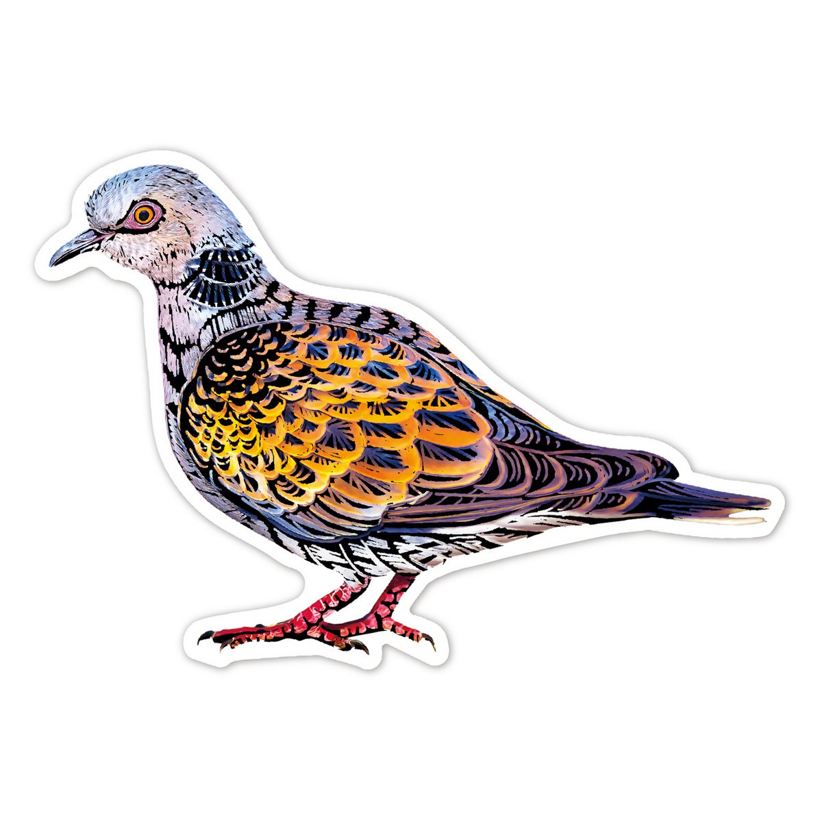 Scratch Stickers - Vogels