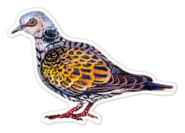 Scratch Stickers - Vogels
