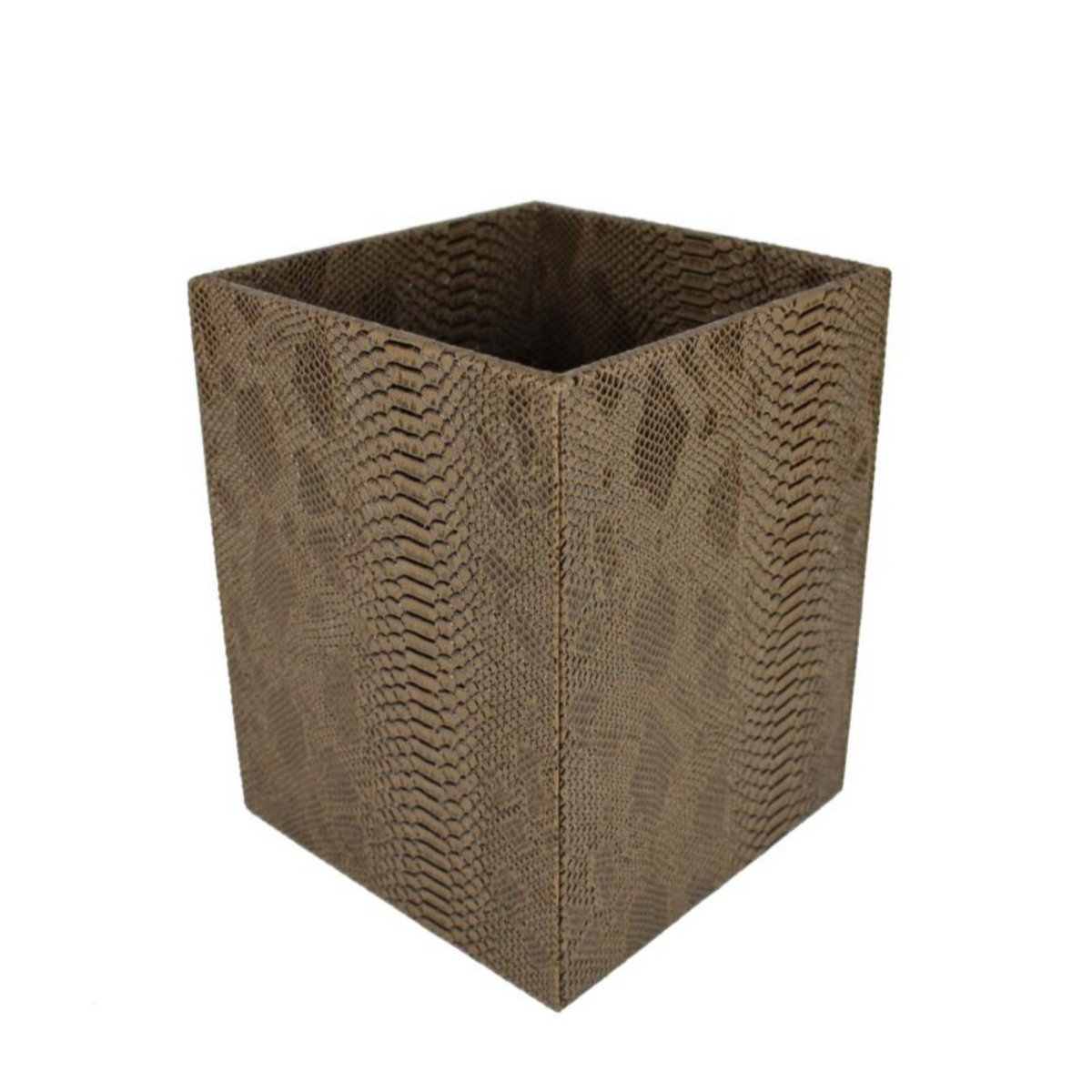 Śmieci kwadratowy gad brązowy