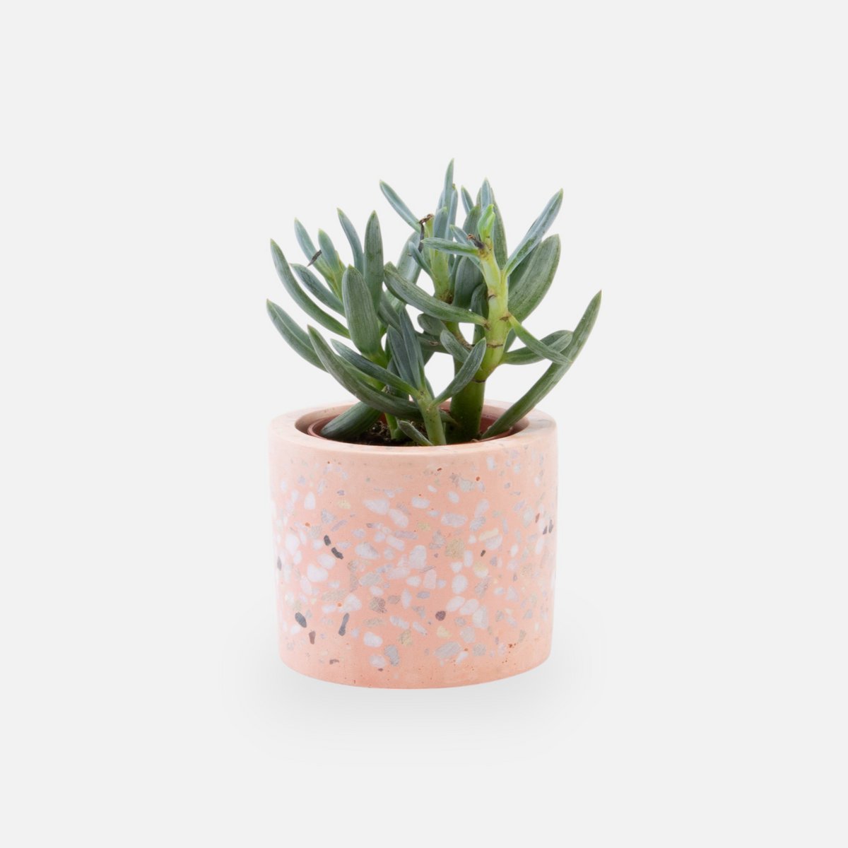 Terrazzo-Blumentopf – Rouge