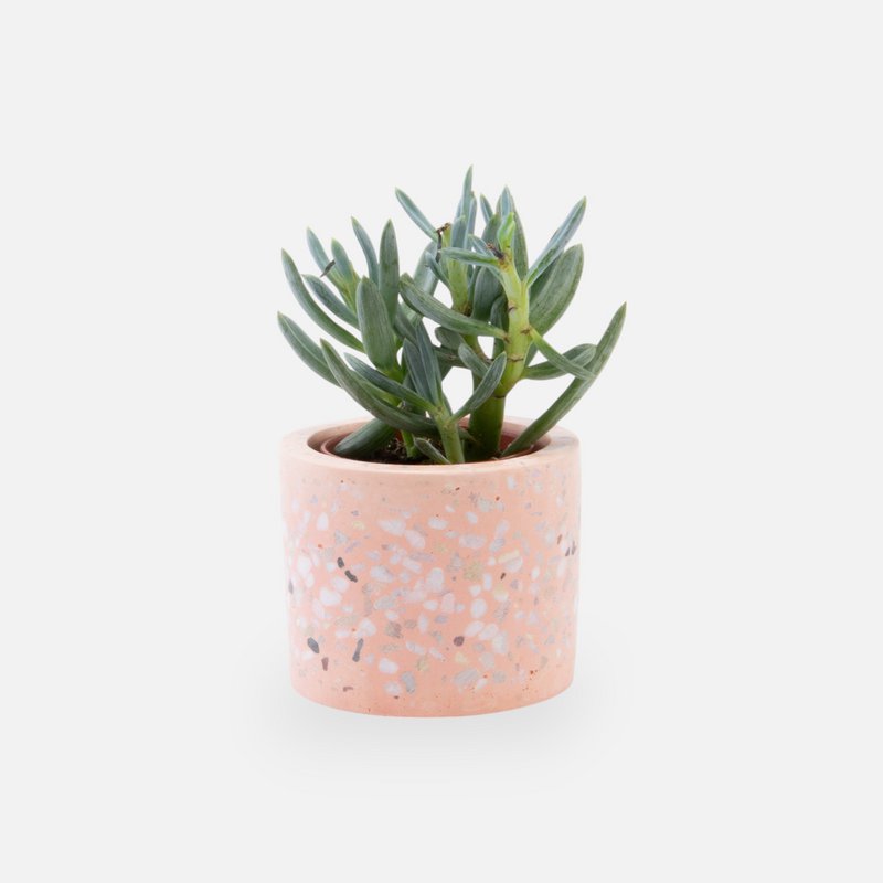 Terrazzo-Blumentopf – Rouge