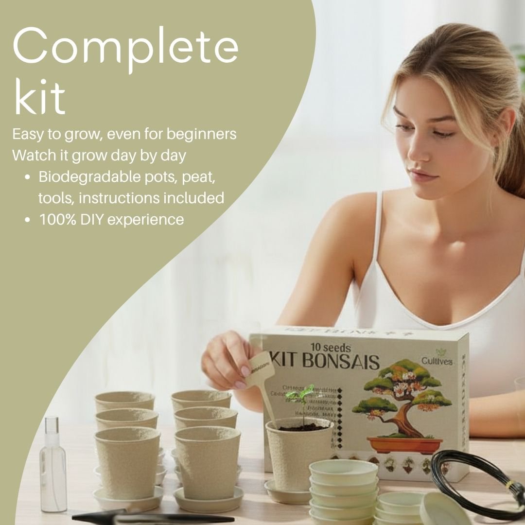CULTIVEA® Kit of 10 Bonsai to Plant – Complete Box with Seeds, Pots, Tools & Instructions – Easy Indoor Planting Kit – Gardening Gift Idea | Made In France