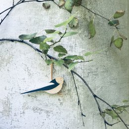 Ornamenti per uccelli - Coda lunga