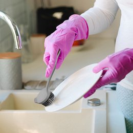 Dish Brush Silicone 22.5 cm