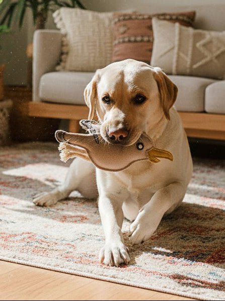 COMPAÑERO. Juguete de cuero para perros "Gaviota"