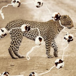 Luna -Leena Garland Pom Pom Leopard - L 2m - 100% weiche Wolle - handgefertigt in Nepal