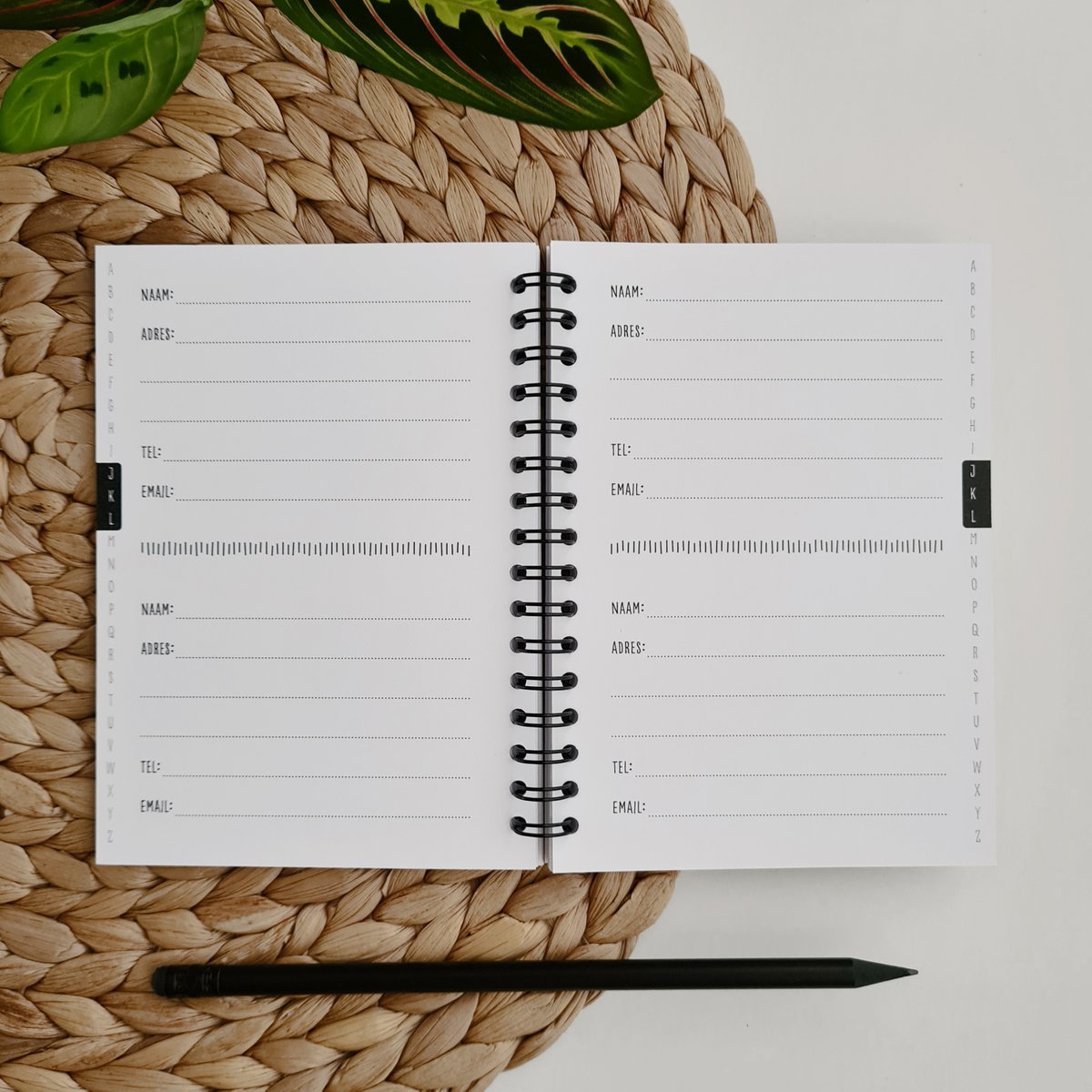 Address book | A6