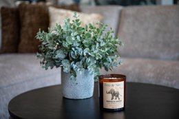 Fuld størrelse stearinlys 220g - Walking on sunshine