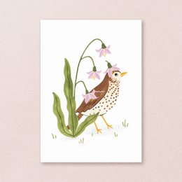 Postkort | Synger Thrush Fugle