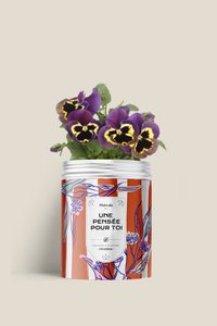 Seed kit - A THOUGHT FOR YOU