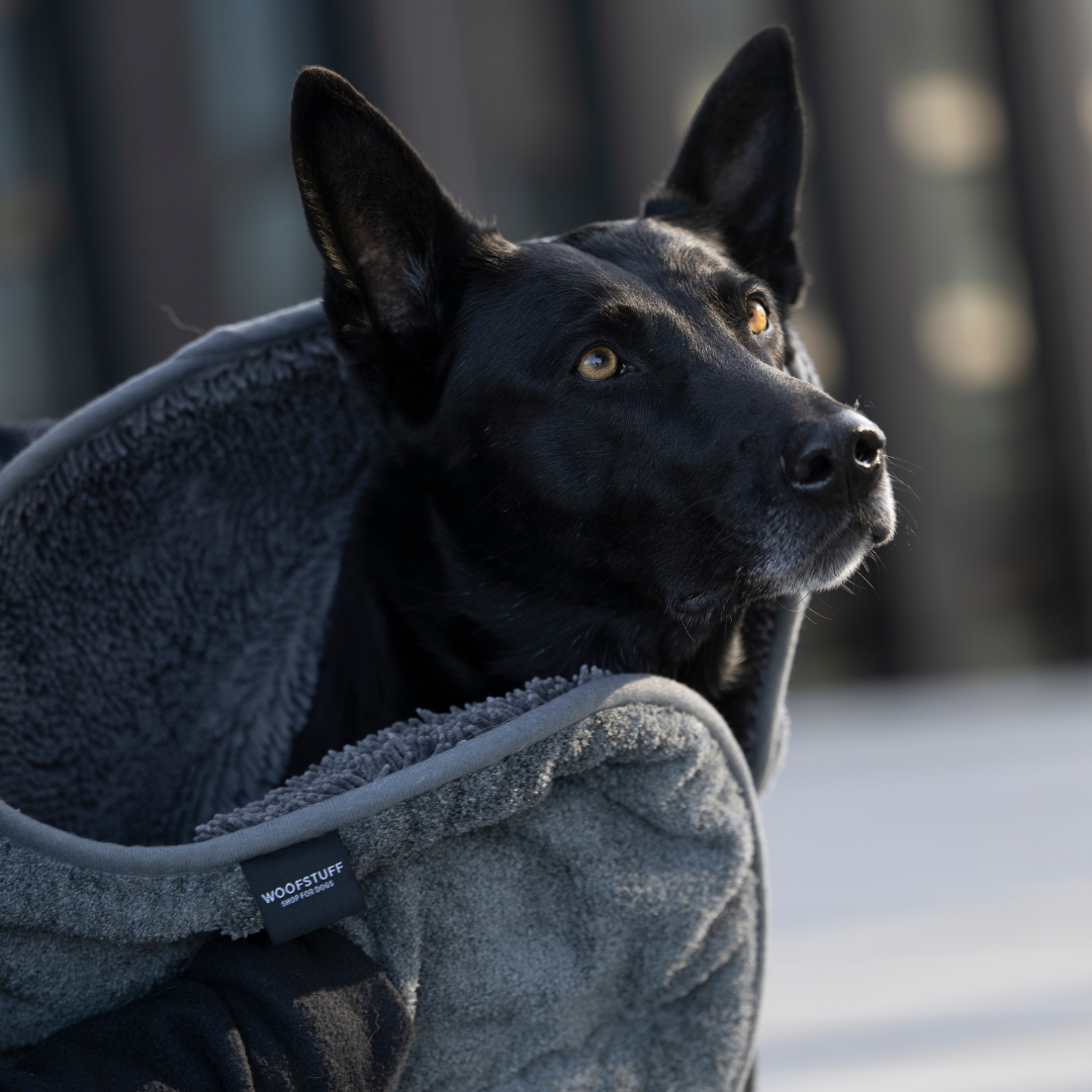 Hundehandtuch Ultra Dry Comfort Graphit