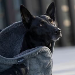 Hundehandtuch Ultra Dry Comfort Graphit