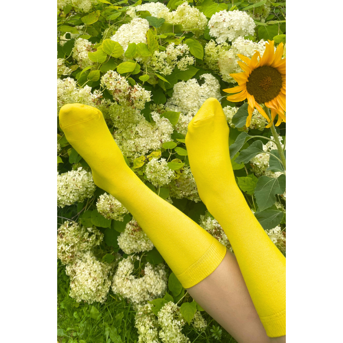 KIM yellow cotton socks