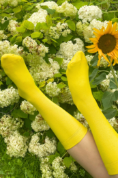 KIM yellow cotton socks