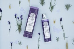 Shampoing Lavande