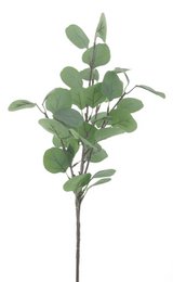 Eucalyptus spray green stem, artificial foliage, botanical leaves, decorative plant branch.