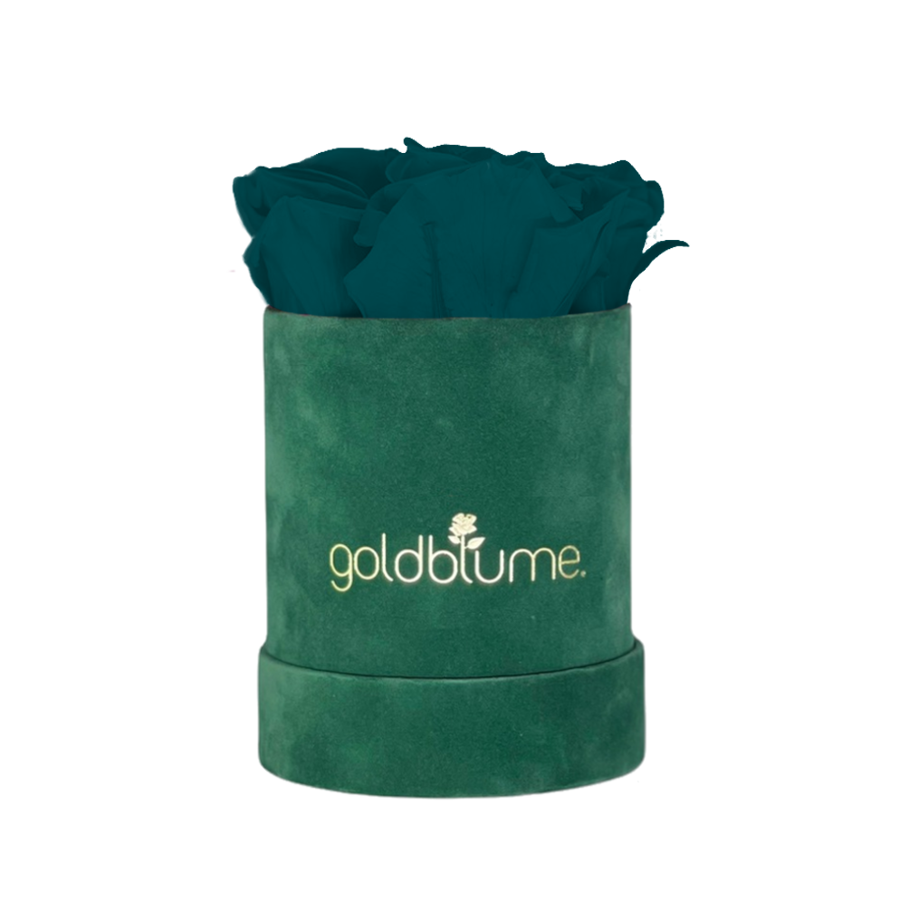 Velvet Green Collection