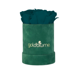 Velvet Green Collection